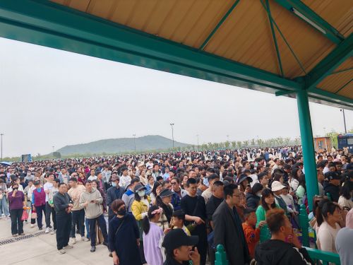 2025揚州世博園國際稻草藝術節盛大啟幕，人氣爆棚！